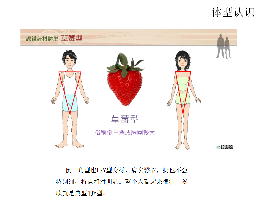 体型认识